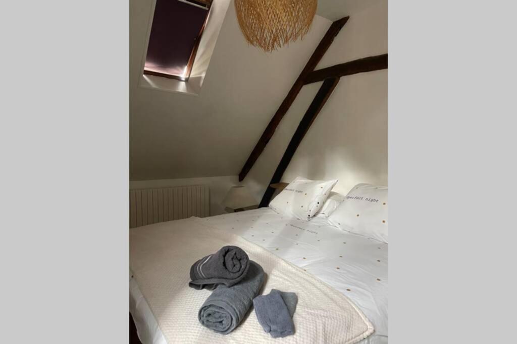 Appartement «La Vie Est Belle» Au Coeur De Sézanne Екстериор снимка